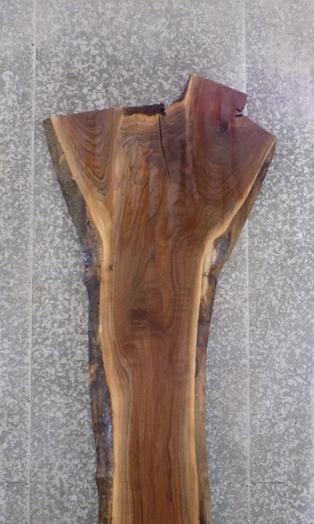 Live Edge Salvaged Black Walnut Bar/Reception Table Top Slab 45011