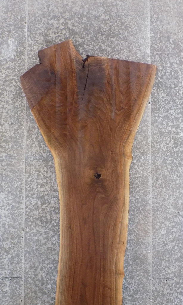 Live Edge Salvaged Black Walnut Bar/Reception Table Top Slab 45011