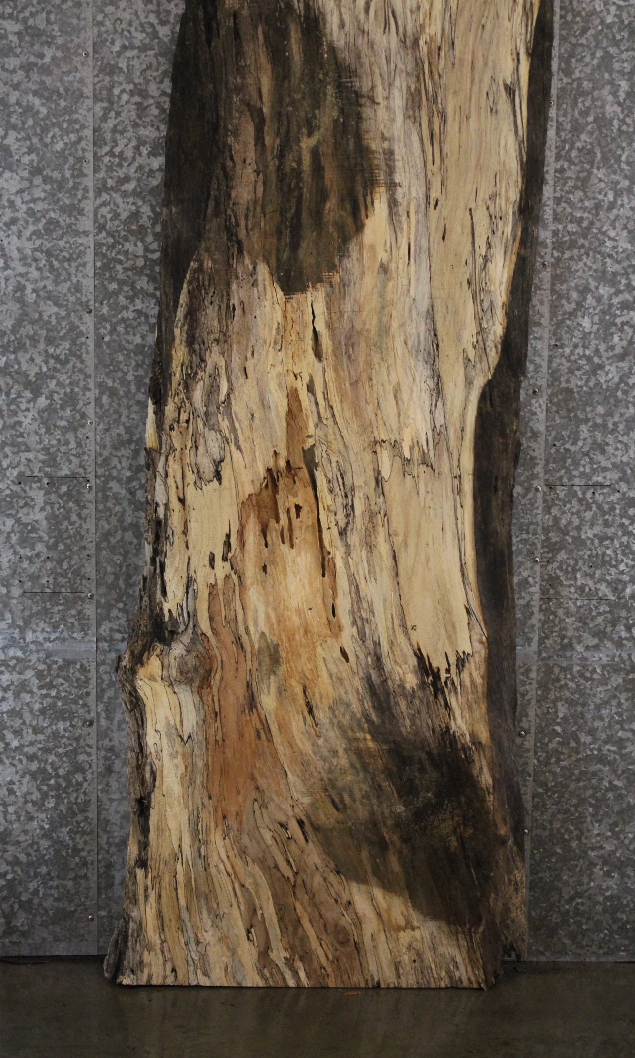 Spalted Maple Desk Slab (Partial Decay) 45012
