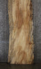 Thumbnail for Spalted Maple Desk Slab (Partial Decay) 45012