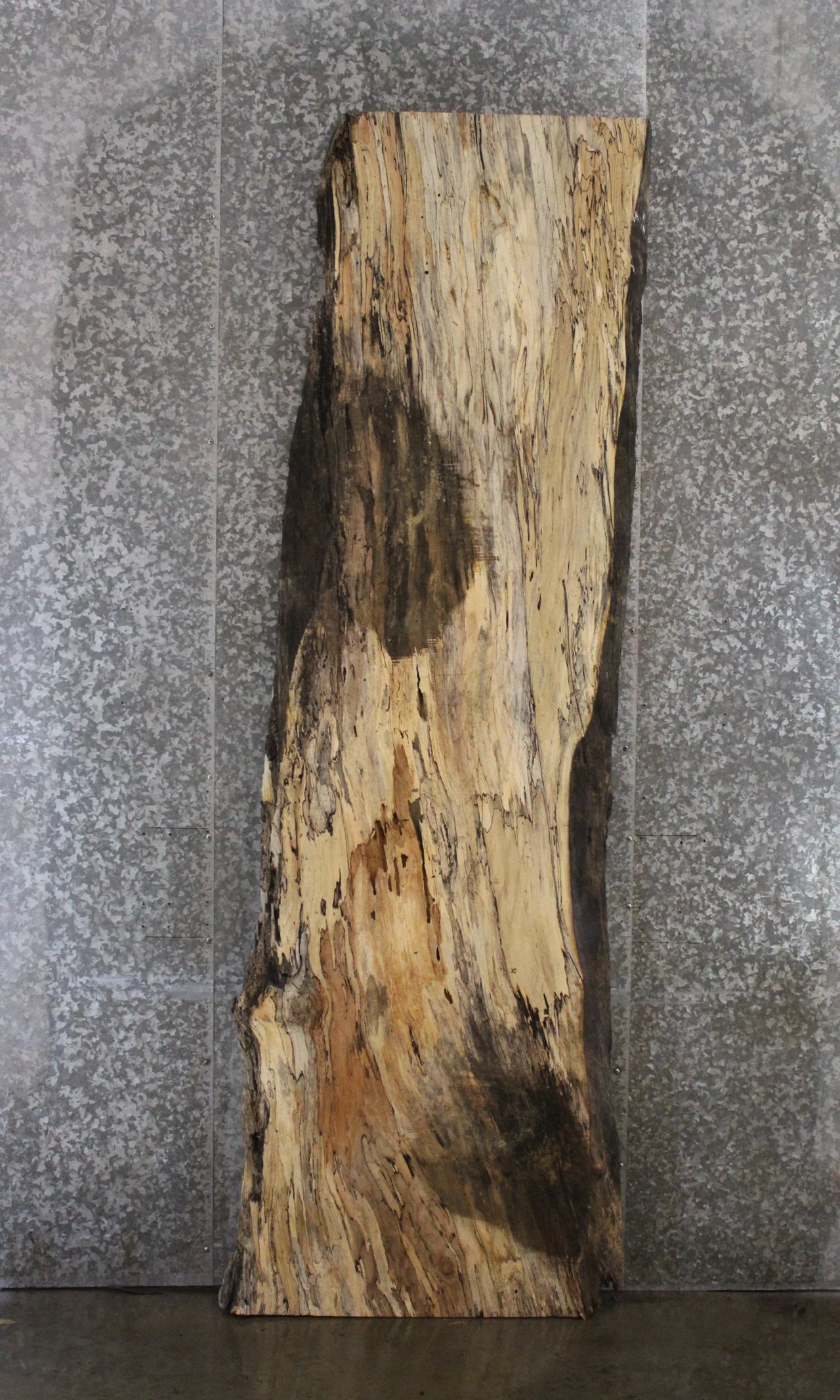 Spalted Maple Desk Slab (Partial Decay) 45012