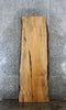 Thumbnail for Spalted Maple Live Edge Bar Top/Desk Slab 45019