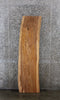 Thumbnail for Sycamore Live Edge Shelf/Desk Slab 4501