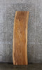 Thumbnail for Sycamore Live Edge Shelf/Desk Slab 4501