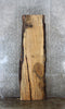Thumbnail for Spalted Maple Live Edge Bar Top/Desk Slab 45020