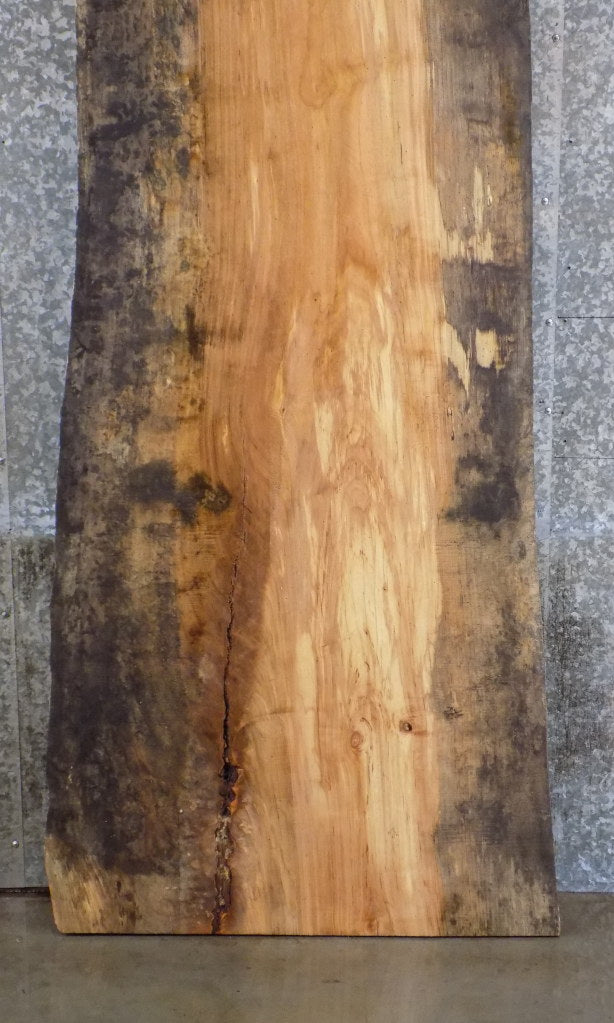 Live Edge Maple Lumber Slab, Office Desk, Bar Top 45025