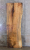 Thumbnail for Rustic Live Edge Maple Bar/Table/Office Desk Top Wood Slab 45028