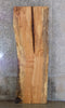 Thumbnail for Rustic Live Edge Maple Bar/Table/Office Desk Top Wood Slab 45028