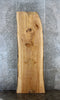 Thumbnail for Ash Live Edge Desk/Bar Top Slab 45029