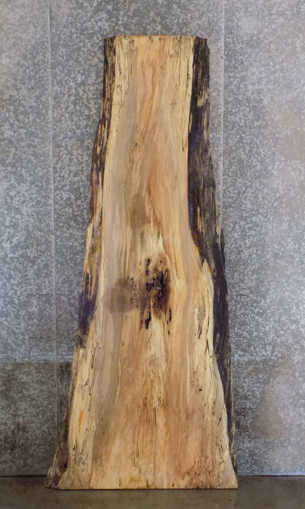 Natural Edge Salvaged Spalted Maple Bar/Table Top Wood Slab 45032