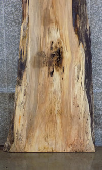 Thumbnail for Natural Edge Salvaged Spalted Maple Bar/Table Top Wood Slab 45032