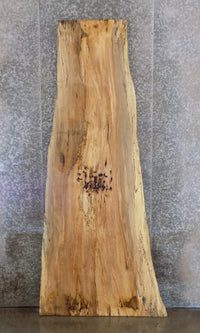 Thumbnail for Natural Edge Salvaged Spalted Maple Bar/Table Top Wood Slab 45032