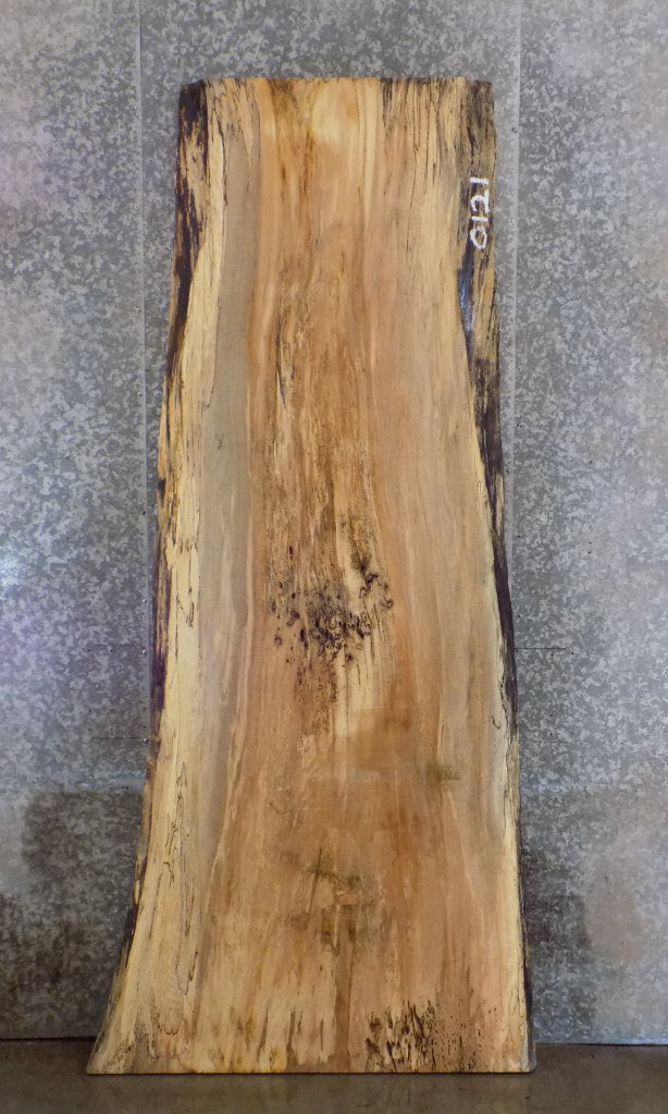 Natural Edge Reclaimed Spalted Maple Bar/Table Top Wood Slab 45033