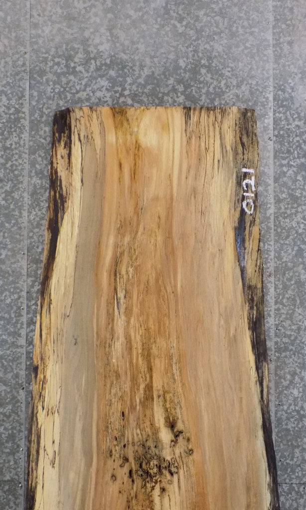 Natural Edge Reclaimed Spalted Maple Bar/Table Top Wood Slab 45033