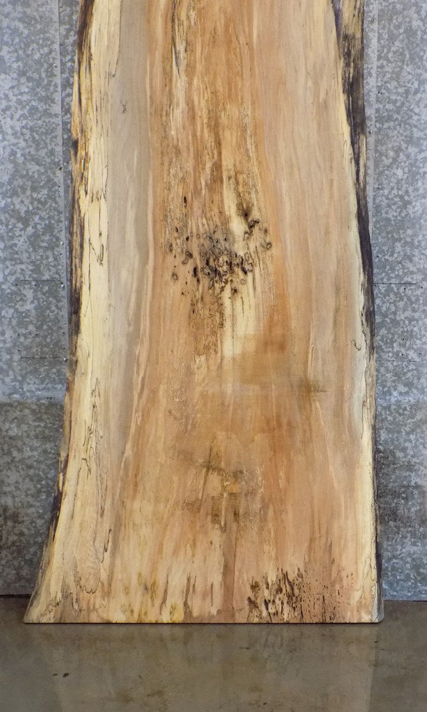 Natural Edge Reclaimed Spalted Maple Bar/Table Top Wood Slab 45033