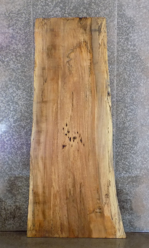 Natural Edge Reclaimed Spalted Maple Bar/Table Top Wood Slab 45033
