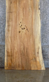Thumbnail for Natural Edge Reclaimed Spalted Maple Bar/Table Top Wood Slab 45033