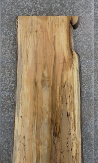 Thumbnail for Live Edge Spalted Maple Reclaimed Bar/Reception Table Top Slab 45048