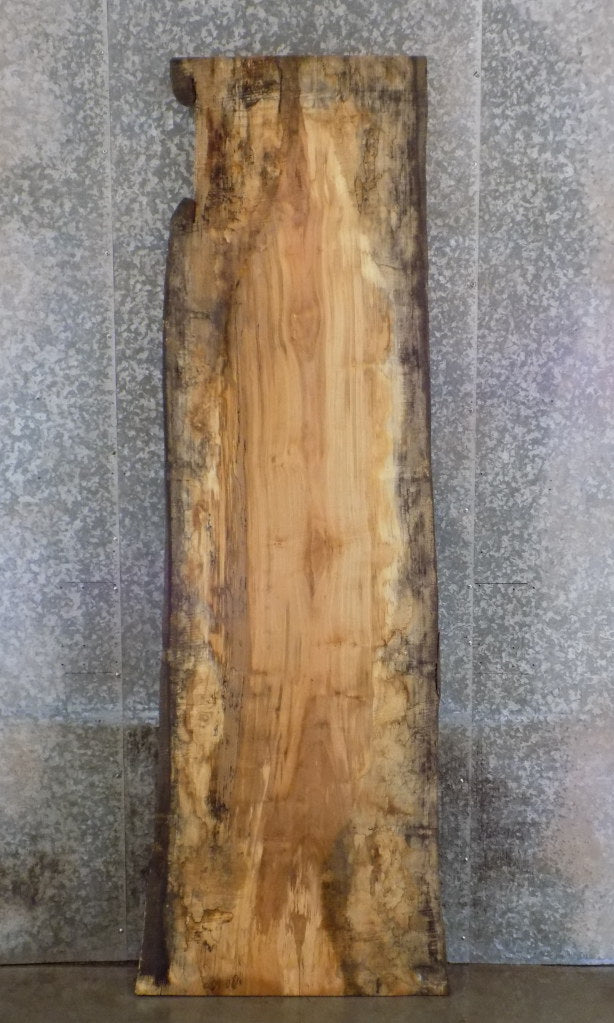 Live Edge Spalted Maple Reclaimed Bar/Reception Table Top Slab 45048