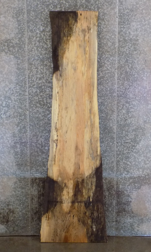 Spalted Maple Salvaged Live Edge Bar/Table Top Slab CLOSEOUT 45050