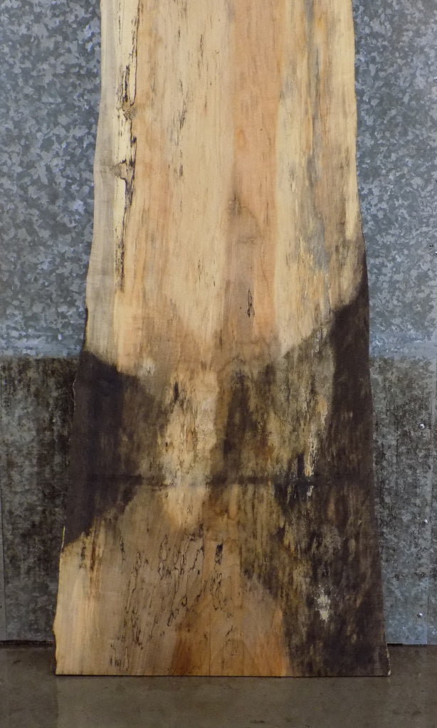 Spalted Maple Salvaged Live Edge Bar/Table Top Slab CLOSEOUT 45050