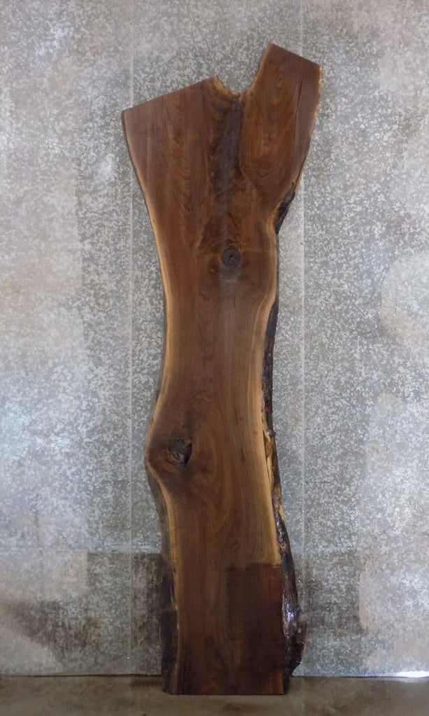 Salvaged Black Walnut Live Edge Bar/Table Top Wood Slab 45058