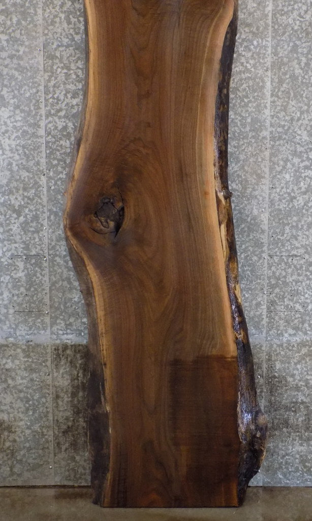 Salvaged Black Walnut Live Edge Bar/Table Top Wood Slab 45058