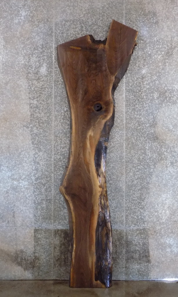 Reclaimed Black Walnut Live Edge Bar/Table Top Wood Slab 45059