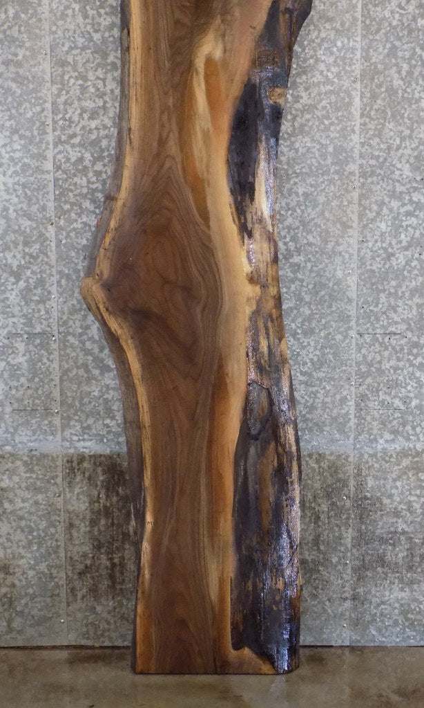 Reclaimed Black Walnut Live Edge Bar/Table Top Wood Slab 45059