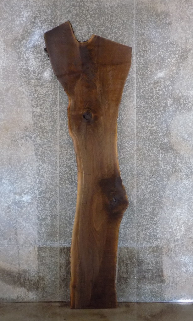 Reclaimed Black Walnut Live Edge Bar/Table Top Wood Slab 45059