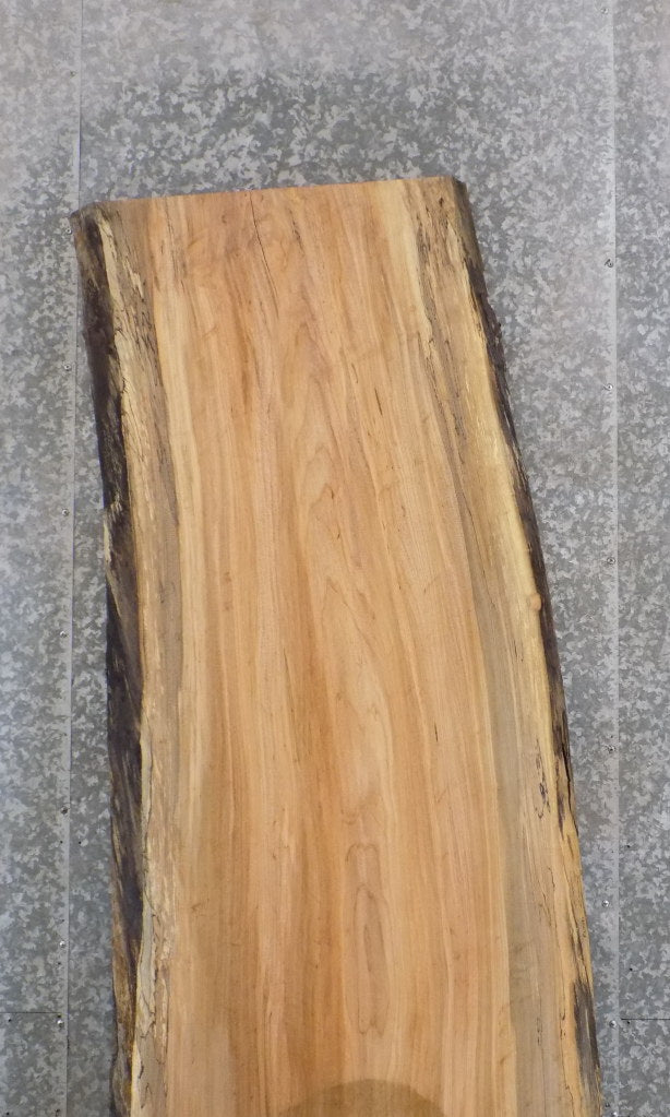 Live Edge Spalted Maple Office Desk/Table Top Slab 45073