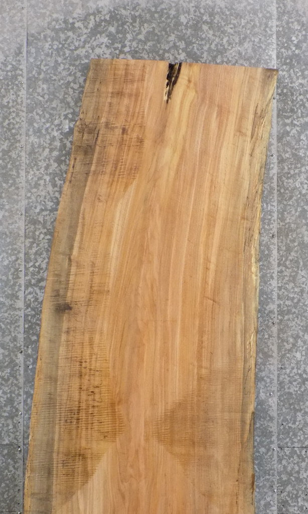 Live Edge Spalted Maple Office Desk/Table Top Slab 45073