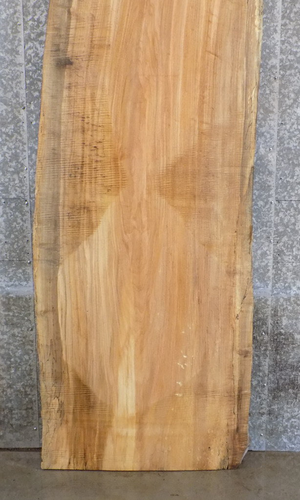 Live Edge Spalted Maple Office Desk/Table Top Slab 45073