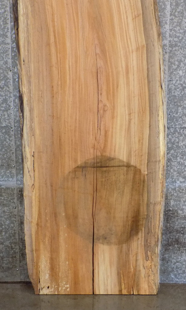 Live Edge Spalted Maple Reclaimed Desk/Table Top Slab 45074