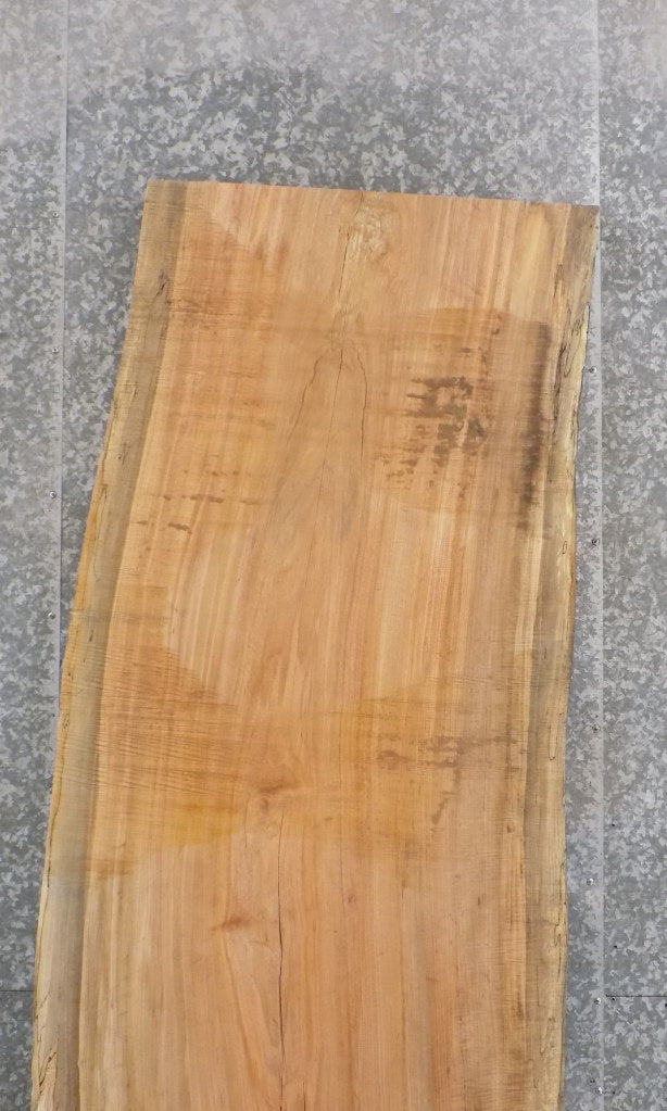 Live Edge Spalted Maple Reclaimed Desk/Table Top Slab 45074