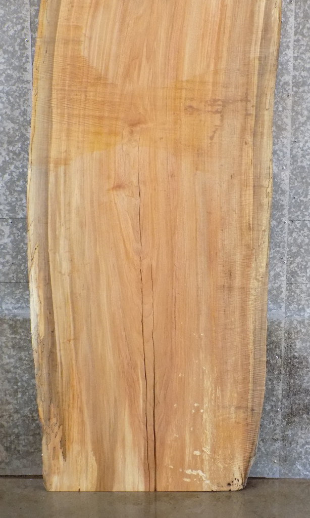 Live Edge Spalted Maple Reclaimed Desk/Table Top Slab 45074