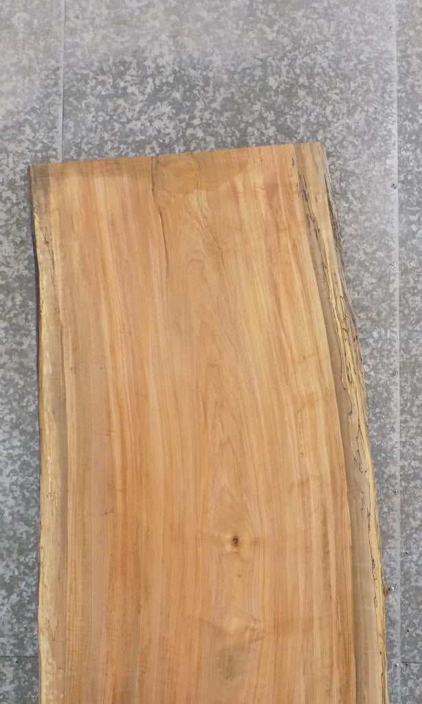 Natural Edge Spalted Maple Office Desk/Table Top Slab 45075