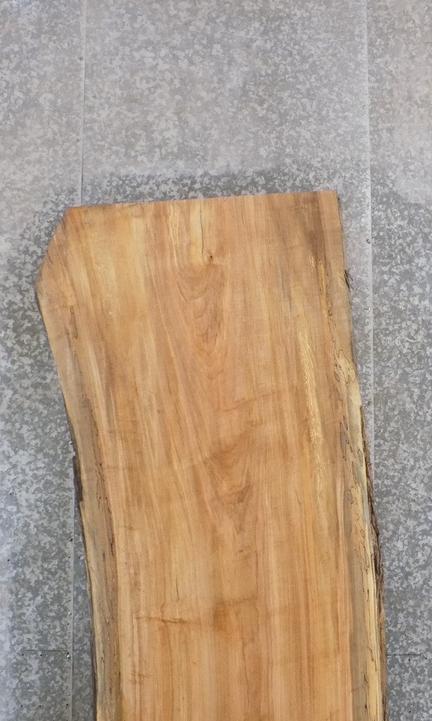 Natural Edge Spalted Maple Office Desk/Table Top Slab 45079