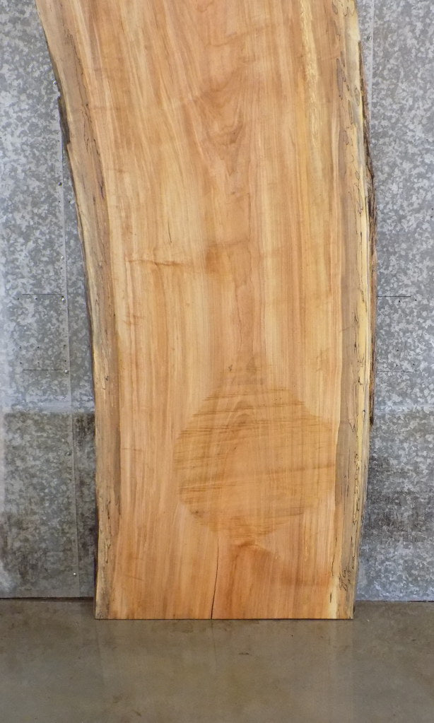 Natural Edge Spalted Maple Office Desk/Table Top Slab 45079