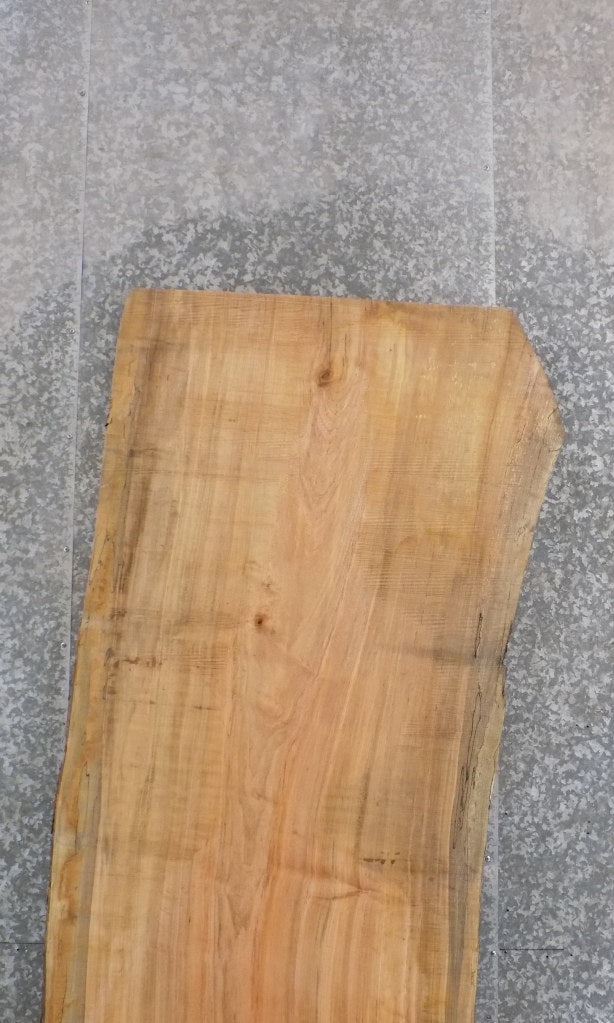 Natural Edge Spalted Maple Office Desk/Table Top Slab 45079