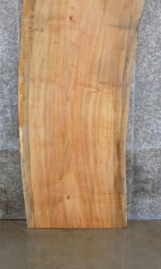 Natural Edge Spalted Maple Office Desk/Table Top Slab 45079