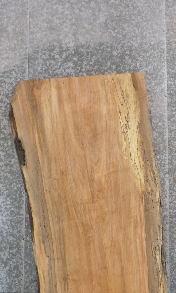 Live Edge Reclaimed Spalted Maple Desk/Table Top Slab CLOSEOUT 45080