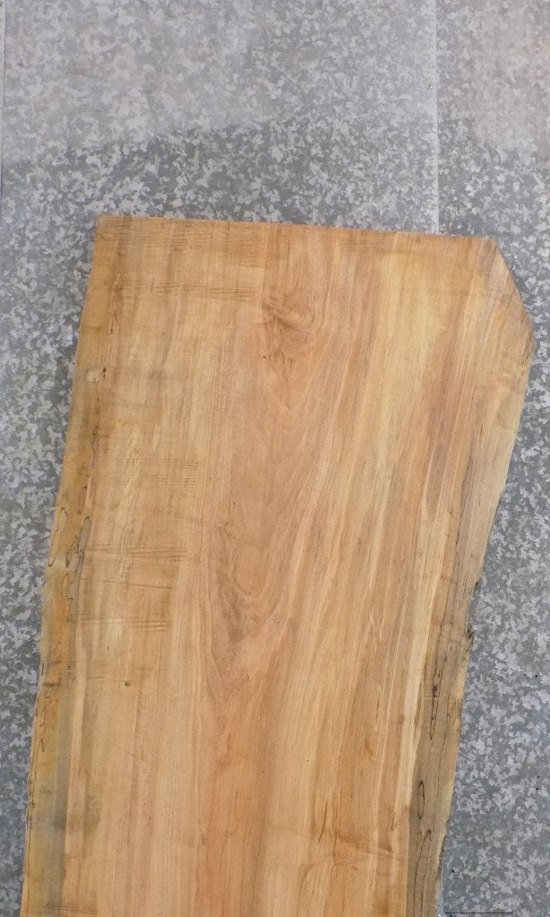Live Edge Reclaimed Spalted Maple Desk/Table Top Slab CLOSEOUT 45080