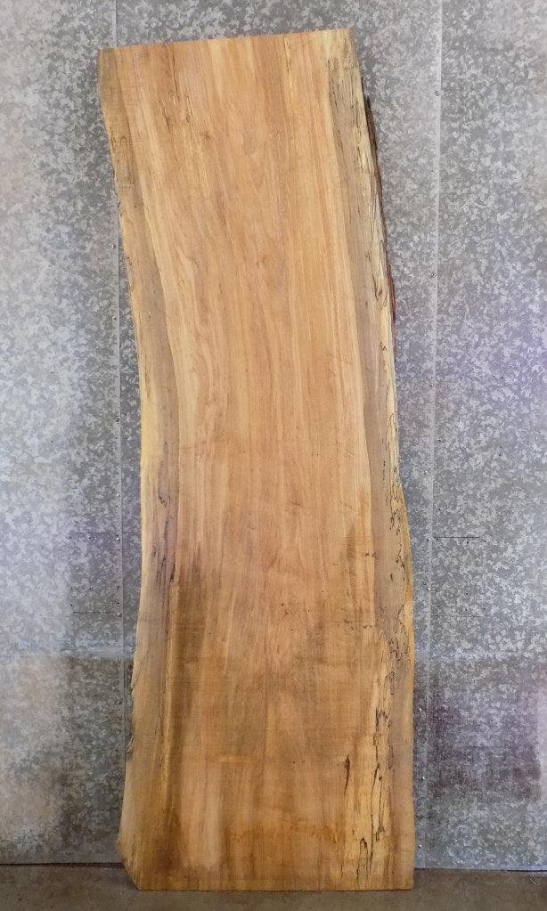 Rustic Live Edge Spalted Maple Office Desk/Table Top Slab 45081