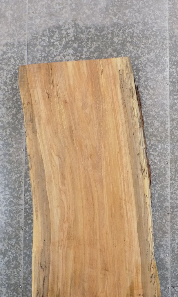 Rustic Live Edge Spalted Maple Office Desk/Table Top Slab 45081