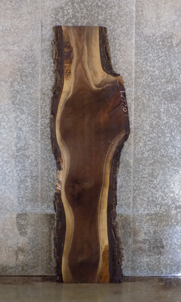 Rustic Live Edge Black Walnut Bar/Table/Desk Top Slab CLOSEOUT 45106