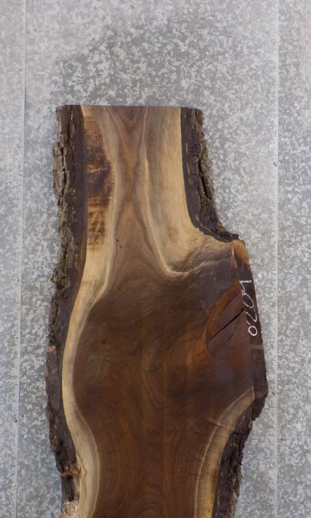 Rustic Live Edge Black Walnut Bar/Table/Desk Top Slab CLOSEOUT 45106