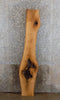 Thumbnail for White Oak Rustic Headboard/Sofa Table Top Slab CLOSEOUT 4510