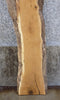 Thumbnail for White Oak Live Edge Rustic Bar/Headboard Wood Slab CLOSEOUT 4524