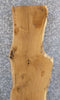 Thumbnail for White Oak Live Edge Rustic Bar/Headboard Wood Slab CLOSEOUT 4524